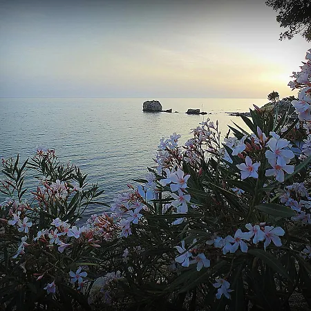 Aqua Luxury شقة *